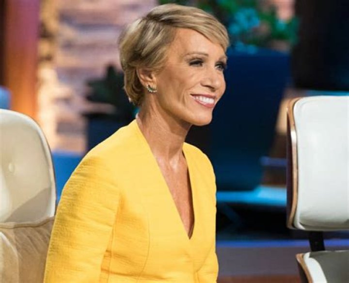 Barbara Corcoran Plastic Surgery, Did Barbara Corcoran Get Plastic Surgery?