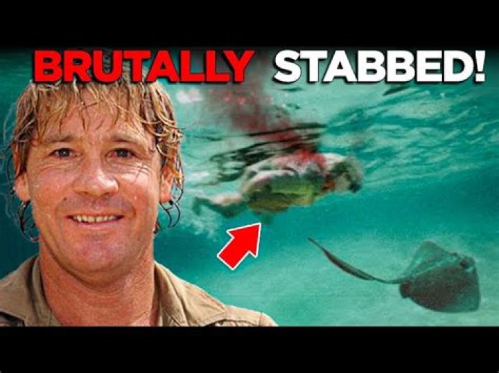 How did Steve Irwin die? Here is the untold story of The Crocodile Hunter Briefly.co.za