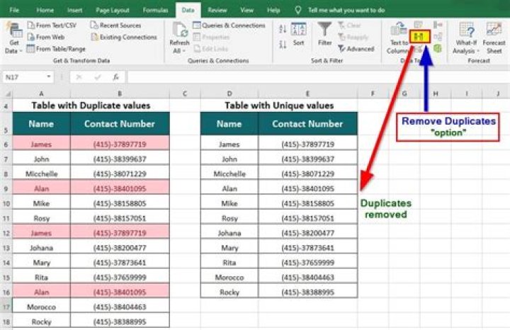 How do I delete duplicates in mint?