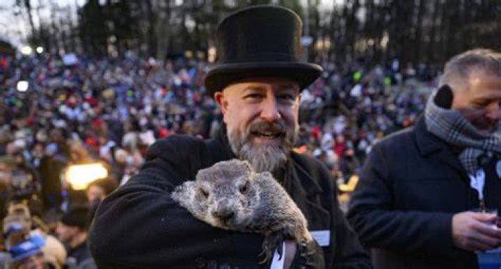 Punxsutawney Phil predicts an early spring after not seeing his shadow