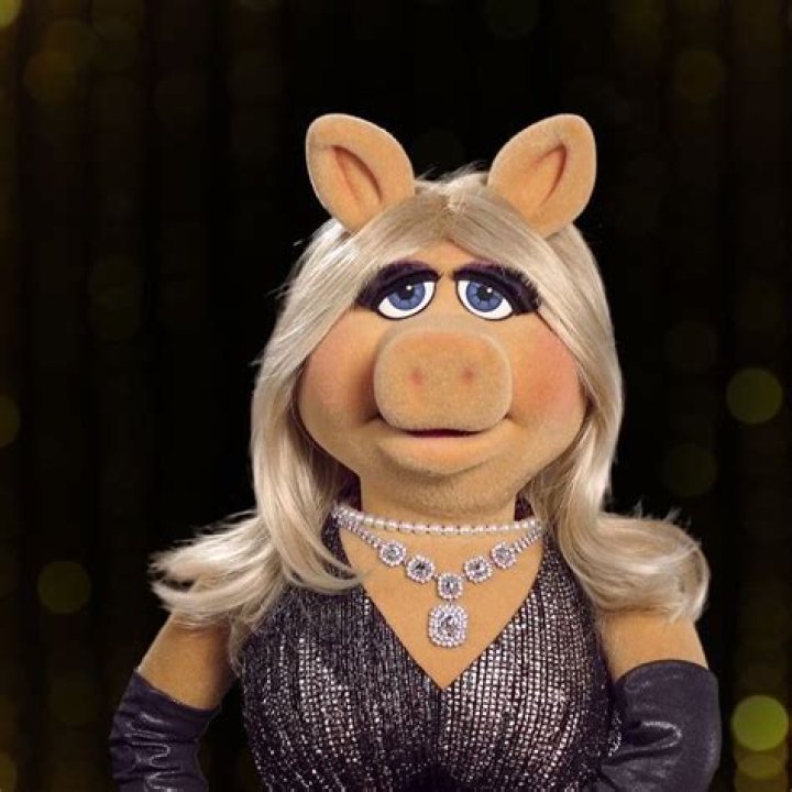 Unruly Pig Flies First Class